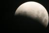 img_8429_t1.jpg